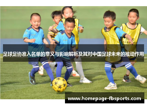 足球足协准入名单的意义与影响解析及其对中国足球未来的推动作用