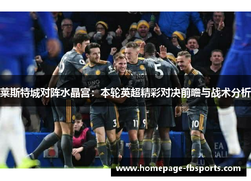 莱斯特城对阵水晶宫：本轮英超精彩对决前瞻与战术分析